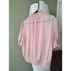 Pale Pink sheer top